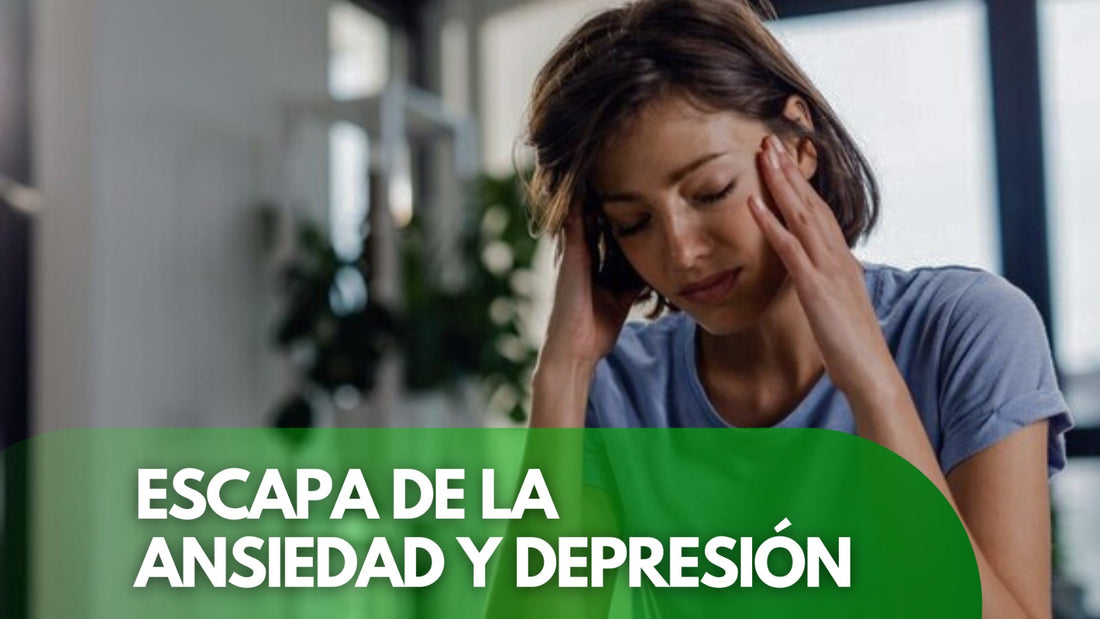 ¡Libera Tu Mente!, Como escapar del circulo Vicioso de la Ansiedad y la depresión